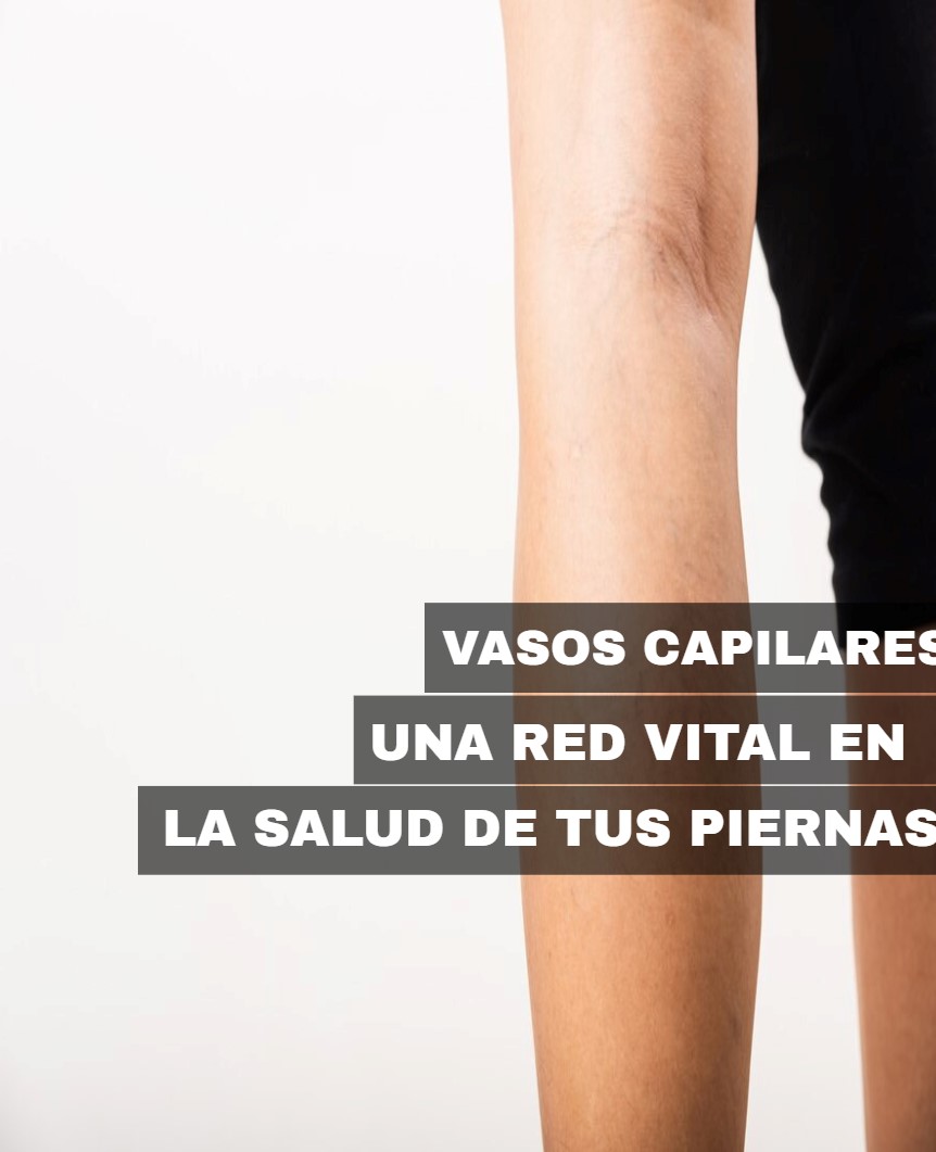 vasos capilares